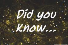 A tree with celebration lights with text over it that reads did you know