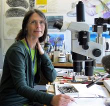 Woman sitting at desk with large microscope while holding pen with art supplies in background