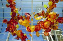 Glass structures hanging from ceiling. 