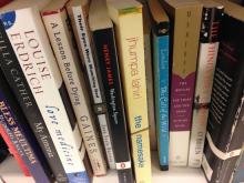 Photo of a shelf full of books displayed with their spines vertically aligned