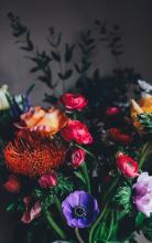 a bouquet of various flowers 