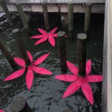 colorful plastic petals arrayed around pilings so that they look like floating flowers