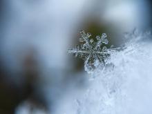 Photo of icy snowflakes