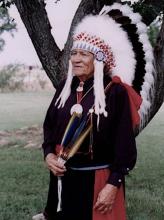 A man dressed in traditional native american dress.