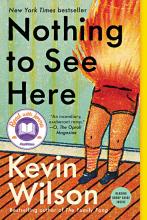 Nothing to See Here book cover