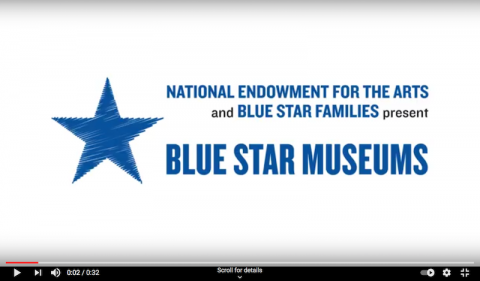 BSM sizzle reel thumbnail