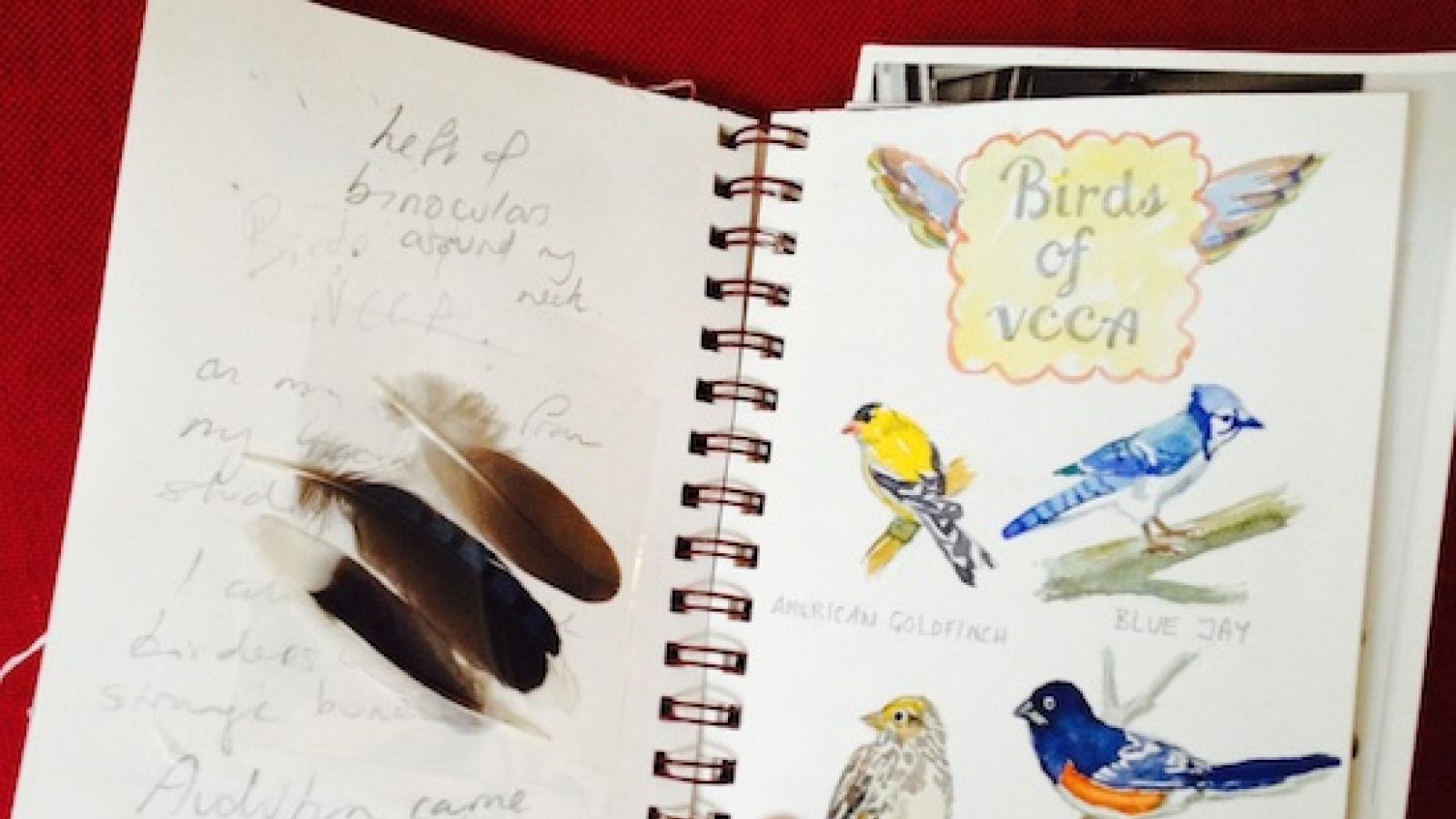 Photograph of an open journal. The left page has writing superimposed by three feathers. The right page has colorful sketches of four birds with a winged caption box that says "Birds of VCCA"