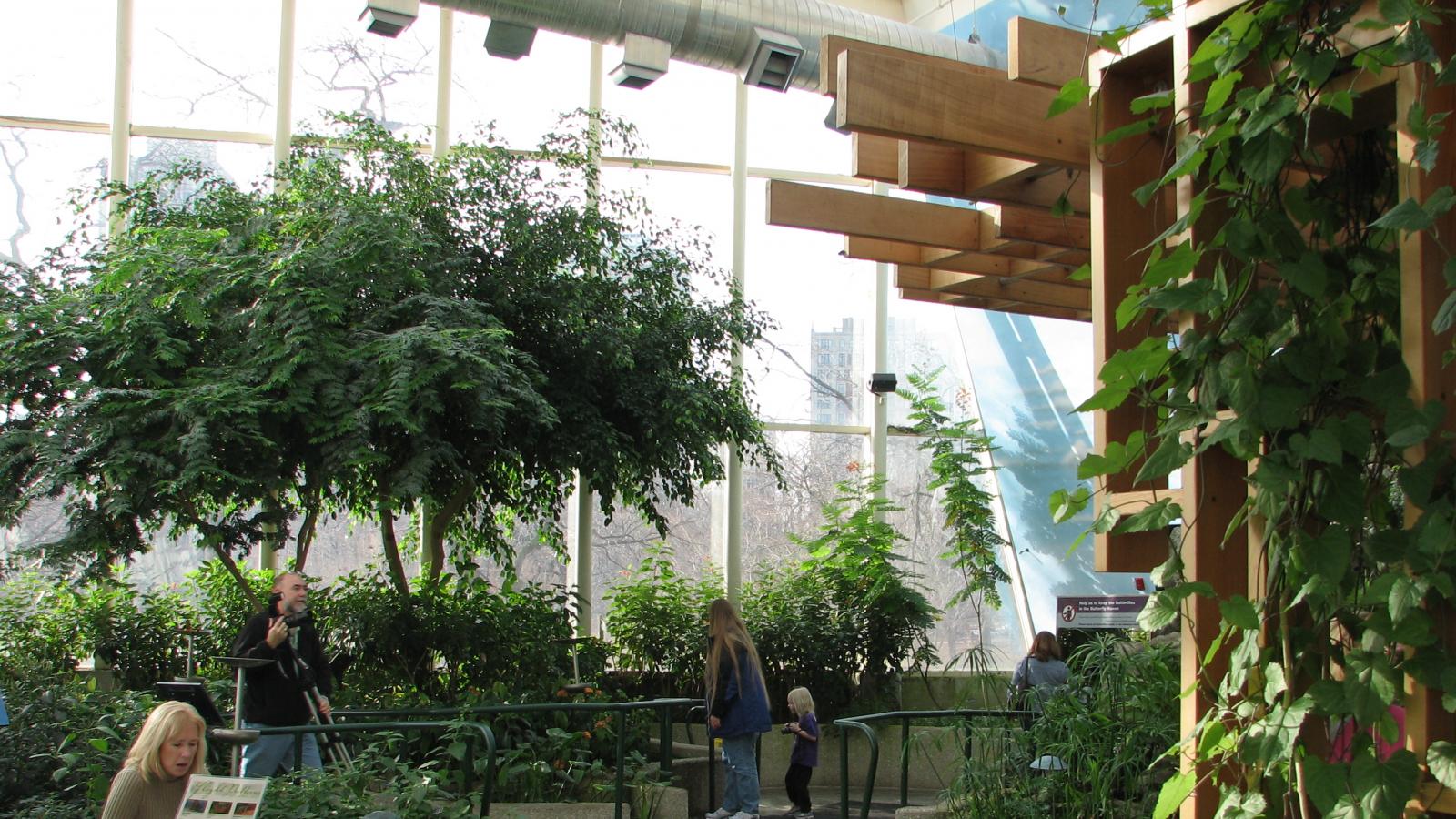 Visitors examining an indoor garden with trees and other plants.
