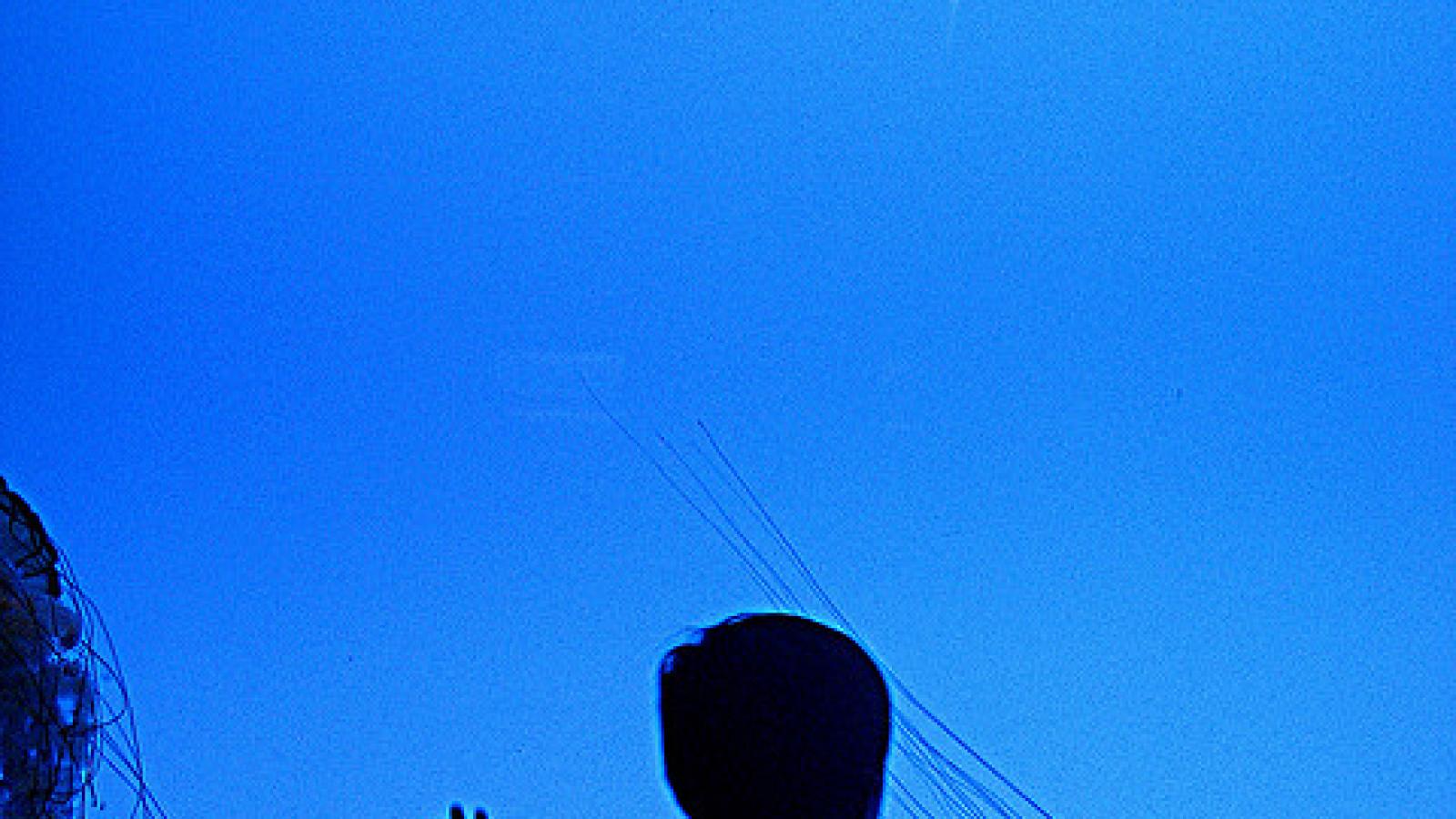 Silhouette of a child looking at jellyfish through glass