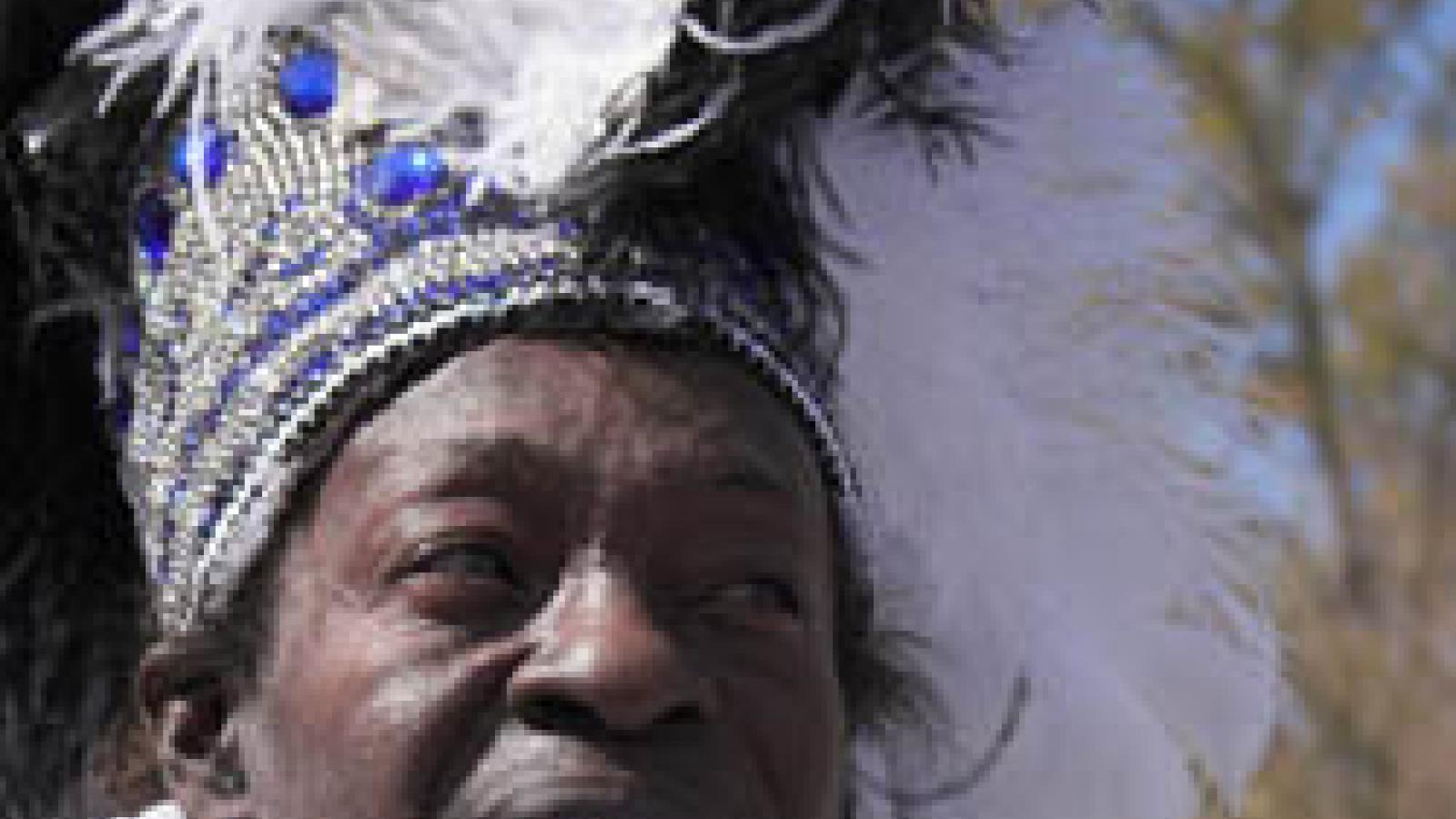 A man in an elaborate blue, white, and silver headress and suit. 