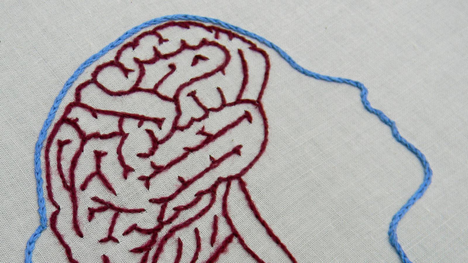 A brain embroidered on an embroidery hoop