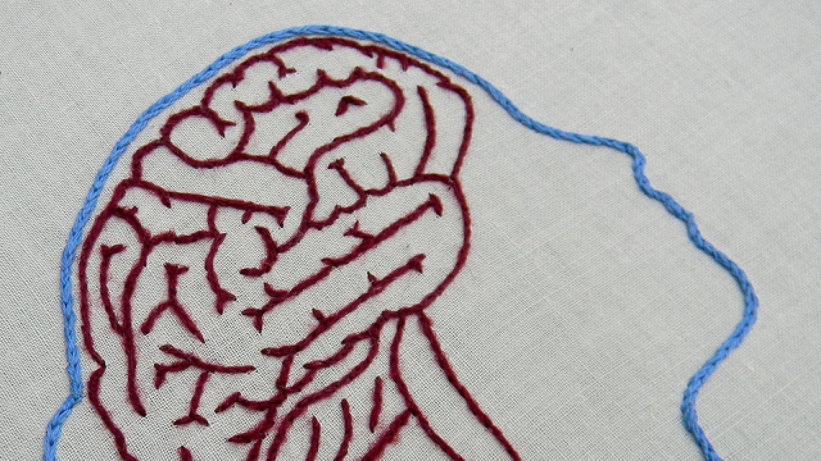 An embroidered brain A brain embroidered on an embroidery hoop