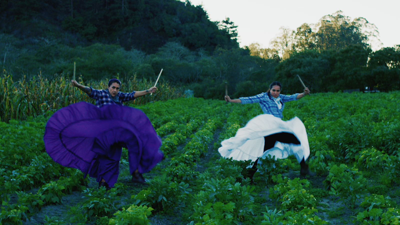 Two woman in a field on a farm dancing with sticks, wearing white and blue frilly dresses and plaid shirts.