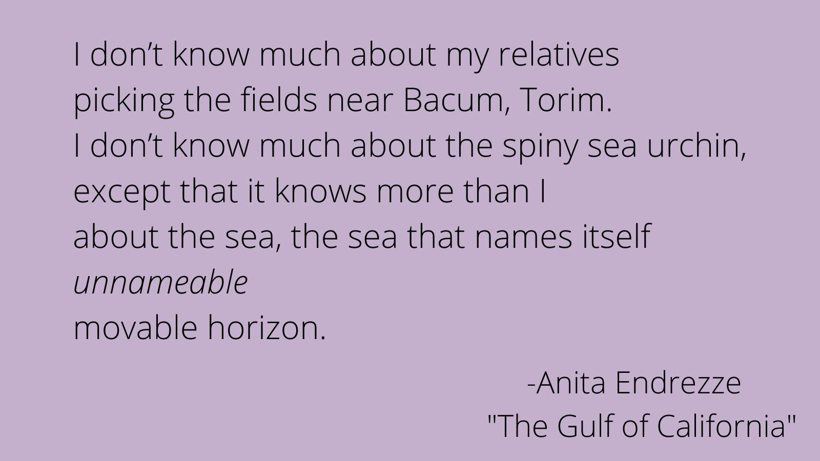 I don’t know much about my relatives picking the fields near Bacum, Torim. I don’t know much about the spiny sea urchin, except that it knows more than I about the sea, the sea that names itself unnameable movable horizon.