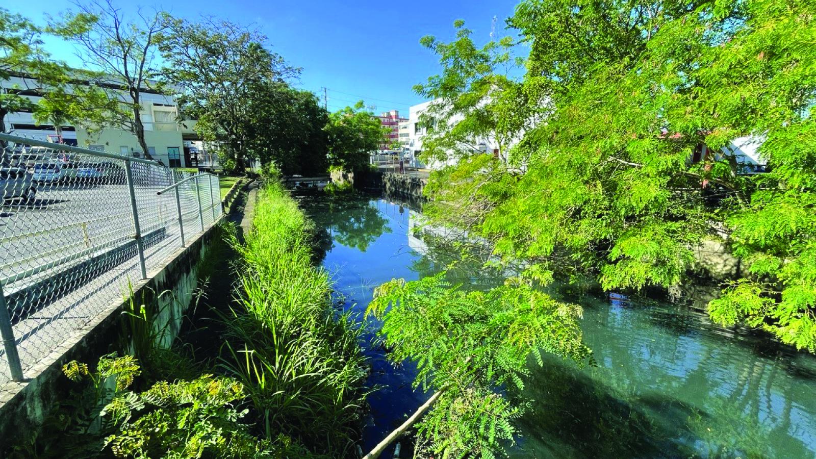 In between buildings and chain link fences runs a creek surrounded by wild greenery.