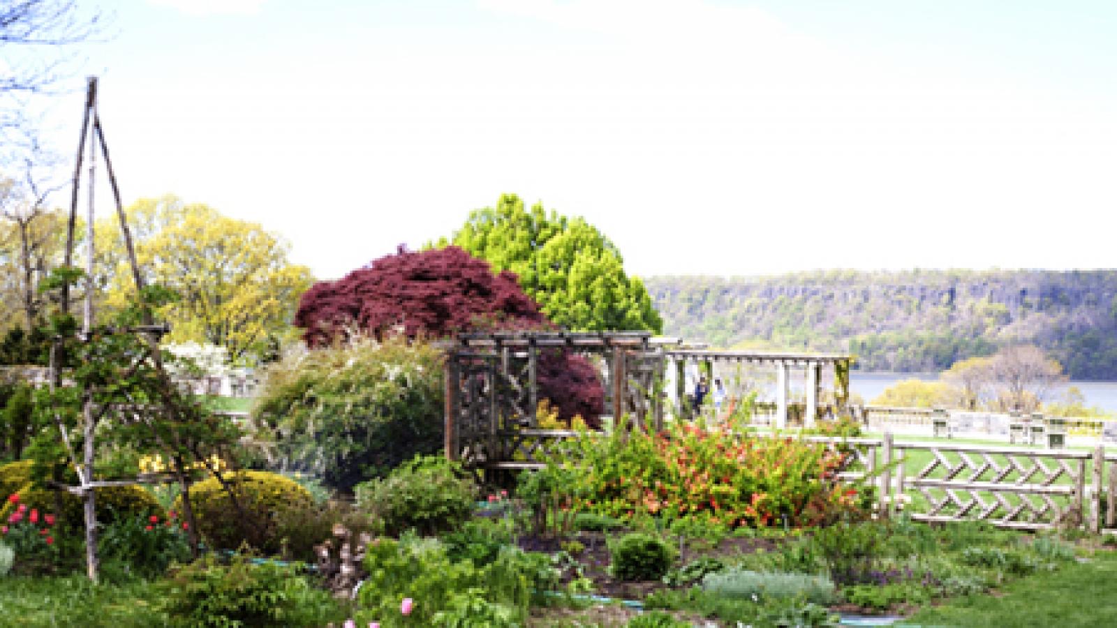 One of the many breathtaking views at Wave Hill. Photo by Kate Attardo