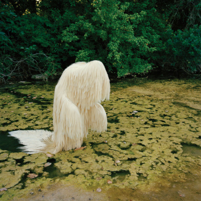 White swamp creature emerging from water